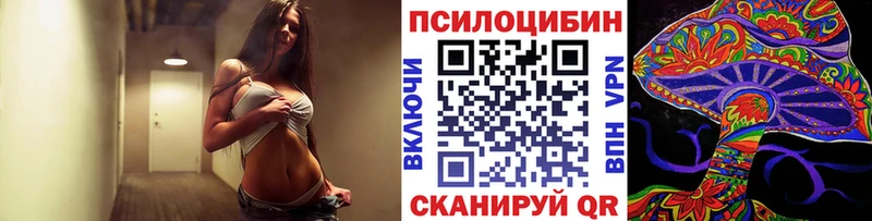 Псилоцибиновые грибы мицелий  Дмитриев 